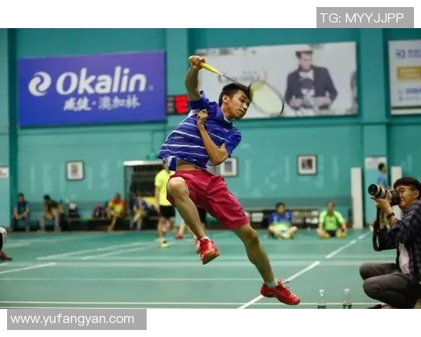 杭州羽毛球队战术表现深度数据分析与策略优化研究